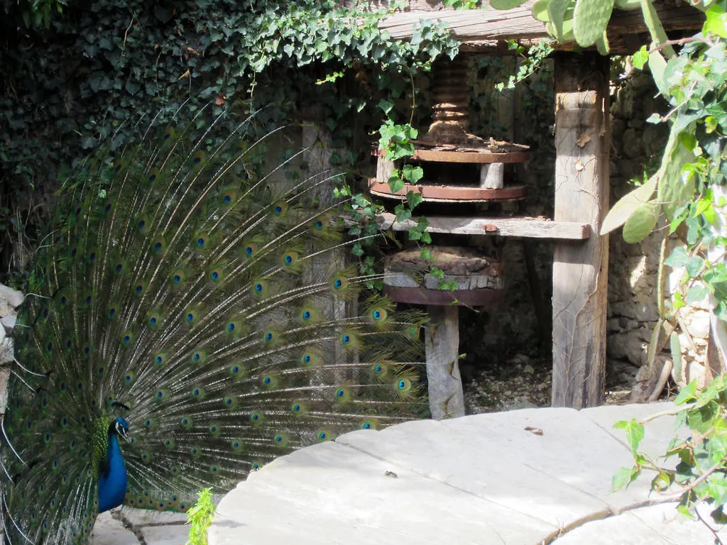 Bed & Breakfast Villa Giardinata Chiesa Nuova