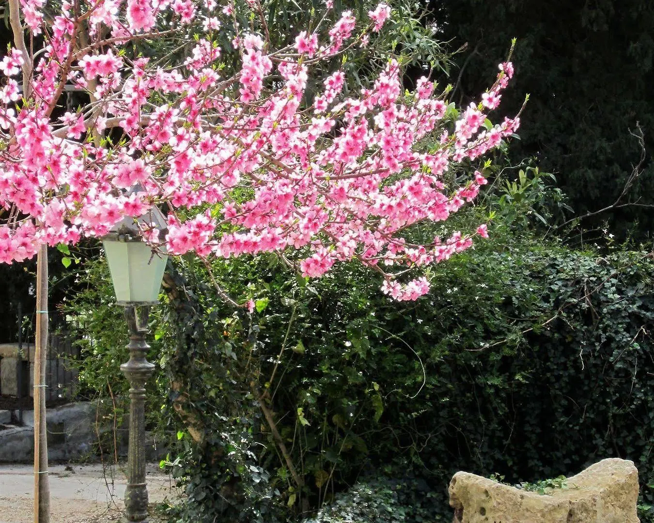 Villa Giardinata Chiesa Nuova  Italie