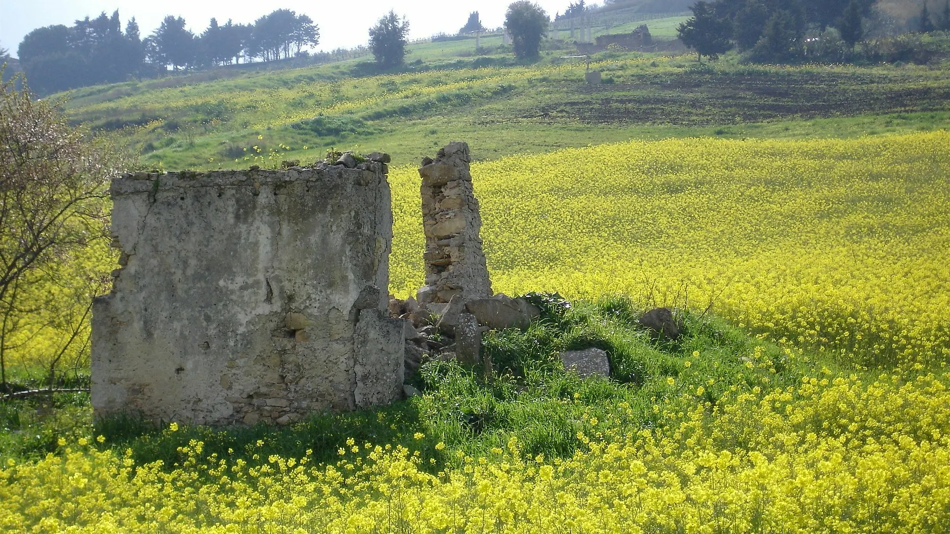 Villa Giardinata Chiesa Nuova  Italien